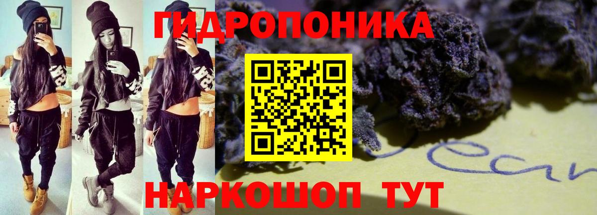 Шишки марихуана индика Курчатов